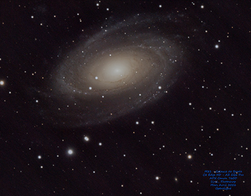 M81